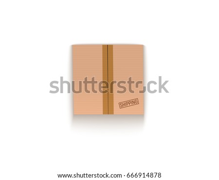 Sealed cardboard box isolated on white vector illustration