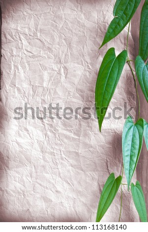 Background paper leaves.