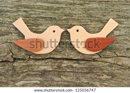 two birds on wooden ground/birds/couple