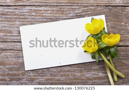 yellow blossoms and white card on wooden ground/flowers/spring
