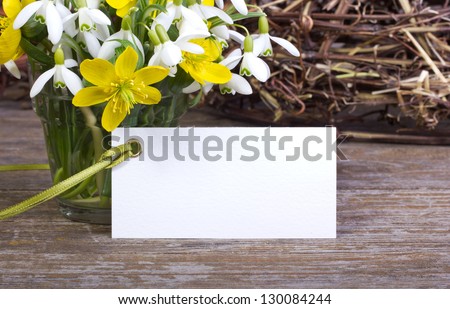 snowdrops, yellow flowers, twigs  and white card/spring/flowers