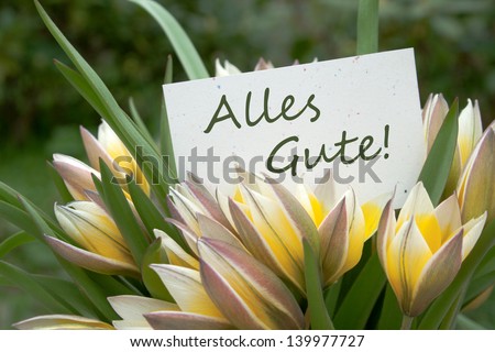 yellow tulips and card with lettering all the best/flowers/tulips