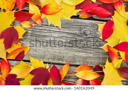 frame with colored leaves on wooden table/autumn/leaves