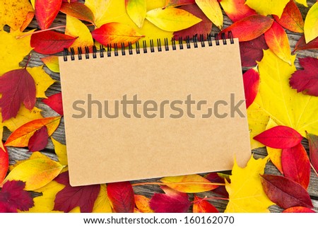 leaves,  autumn, wood, board, wood, grey, orange, red, yellow, fall, background,  note, paper, paper, white, colorful,