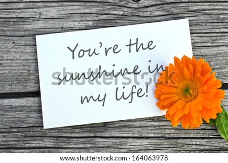 White card with orange marigold/You are the sunshine in my life/english