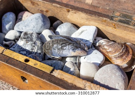 Wooden box with stones, shells in the sand / Treasure Chest / beach