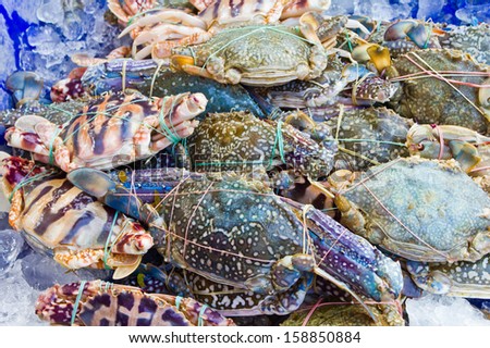 Fresh raw flower crab or blue crab in the market, Thailand