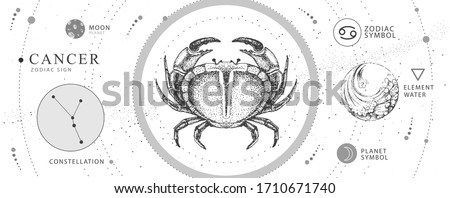Modern magic witchcraft card with astrology Cancer zodiac sign. Realistic hand drawing crab illustration. Zodiac characteristic