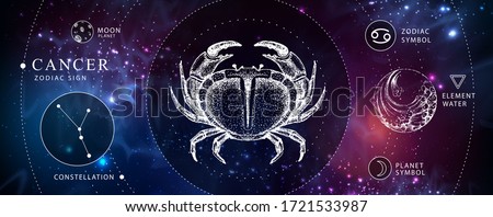 Modern magic witchcraft card with astrology Cancer zodiac sign. Realistic hand drawing crab illustration. Zodiac characteristic