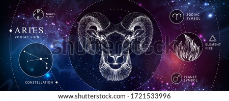 Modern magic witchcraft card with astrology Aries zodiac sign. Realistic hand drawing ram or mouflon head. Zodiac characteristic