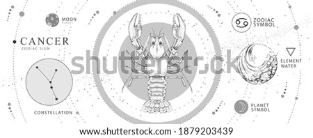 Modern magic witchcraft card with astrology Cancer zodiac sign. Realistic hand drawing crab illustration. Zodiac characteristic