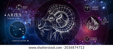 Modern magic witchcraft card with astrology Aries zodiac sign. Realistic hand drawing ram or mouflon head. Zodiac characteristic