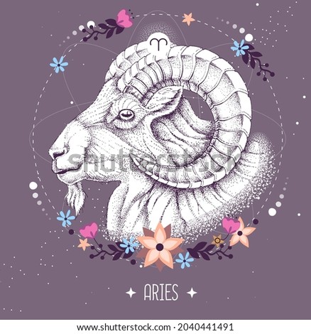 Modern magic witchcraft card with astrology Aries zodiac sign. Realistic hand drawing ram or mouflon head