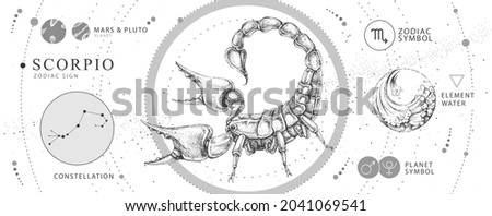 Modern magic witchcraft card with astrology Scorpio zodiac sign. Realistic hand drawing scorpion illustration. Zodiac characteristic