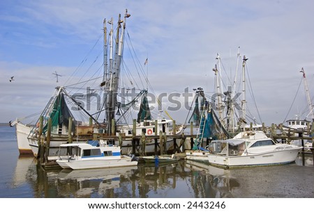 Shrimp Boat Fleet