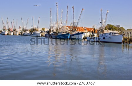 Shrimp Boat Fleet At Rest