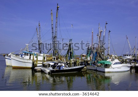 Shrimp Boat Fleet