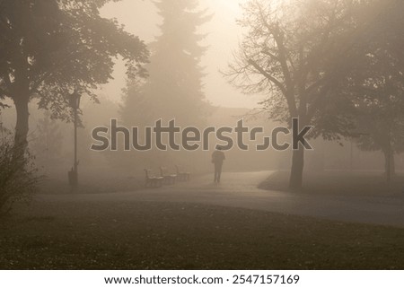 Similar – Foto Bild nebeliger Novembermorgen am Wandrand mit Sonnenstrahlen