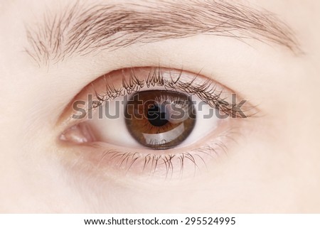 Close up view of a brown woman eye - no make up on