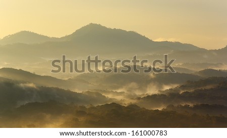 Morning with fog light mountains nature
