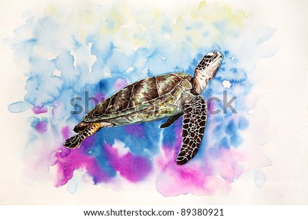 Free hand painting from watercolor demonstrated a Hawksbill Sea Turtle.