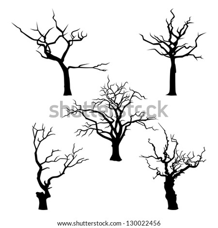 Collection Of Trees Silhouettes Stock Vector 130022456 : Shutterstock