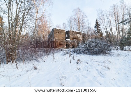 The old destroyed house in winter wood