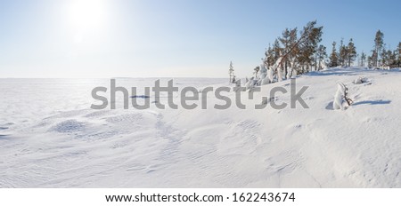 Sunny day on the frozen winter lake. A winter landscape.