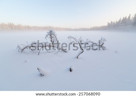 The frozen winter lake in wood under snow.  winter landscape