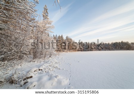 Sunny day on winter lake. Winter landscape