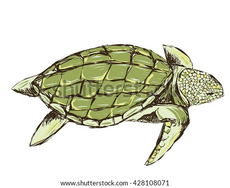 green turtle isolated on a white background. rough stylized. design for T-shirts. grunge style