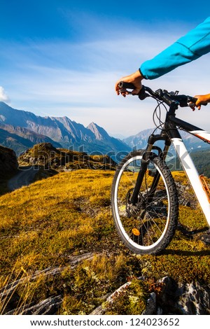 Mountain bike wheel and sommer alpine  landscape