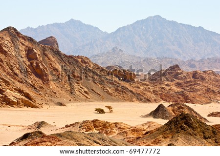 Sinai desert view