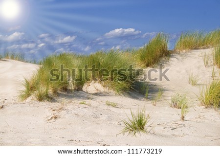 Summer weather in the dunes on the North Sea