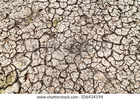 The crack of a dry climate and lack of water.