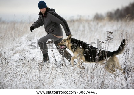 Man playing with Alsatian dog at winter field