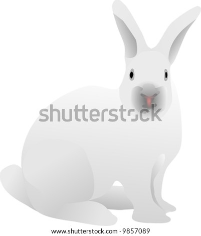 Vector - Long Eared White Rabbit Sitting - 9857089 : Shutterstock