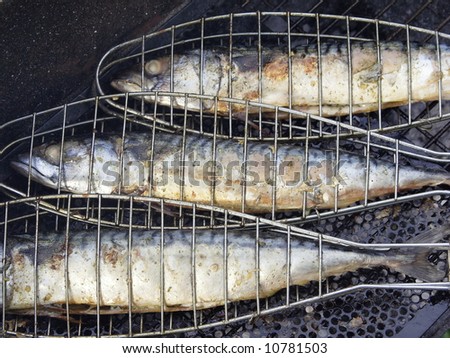 tree Fishes  on grill