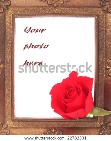 Red rose and metal frame with free space to use