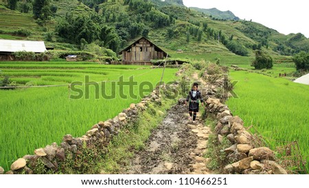 SAPA- JUL 22: Unidentified Black Hmong\'s woman walks near terraced rice fields at Cat Cat village on July 22, 2012 in Sapa, Vietnam. Cat Cat, Hmong minority, village is about 1 km from Sapa city.