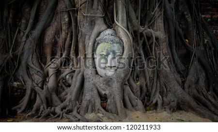 Smile Buddha head covered by tree root at wat Mahathat in Ayutthaya. Thailand