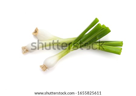 Fresh ripe green spring onions (shallots or scallions) on white background Foto stock © 