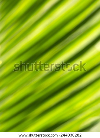 Extreme close-up of fresh green leaf as blur background.