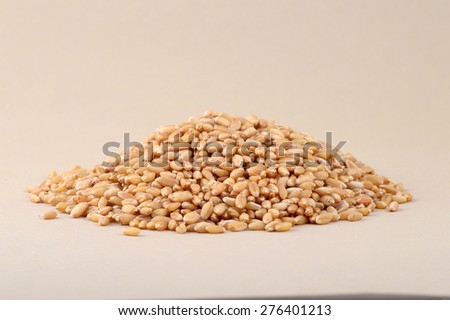 Heap of Wheat grains