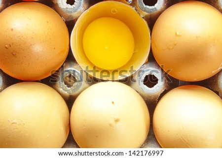 Eggs do not vary greatly. Cannibalism popular worldwide for it scored a good taste.
