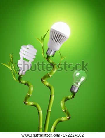 Conceptual image of - tungsten bulb, Fluorescent and LED on bamboo