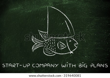 start-up with big plans: small fish pretending to be a shark