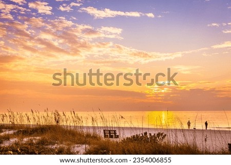 Similar – Image, Stock Photo Scenic sunset over sea and snowy mountains