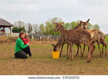 family feeding deers in the farm