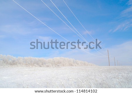 Landscape in the winter, steppe, a timber, white snow and hoarfrost in solar weather.